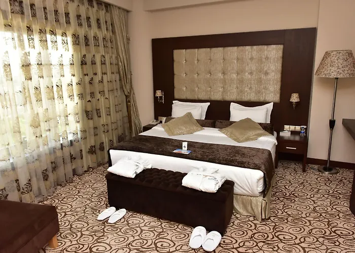 ホテル Grand Pasha Luxury & Casino